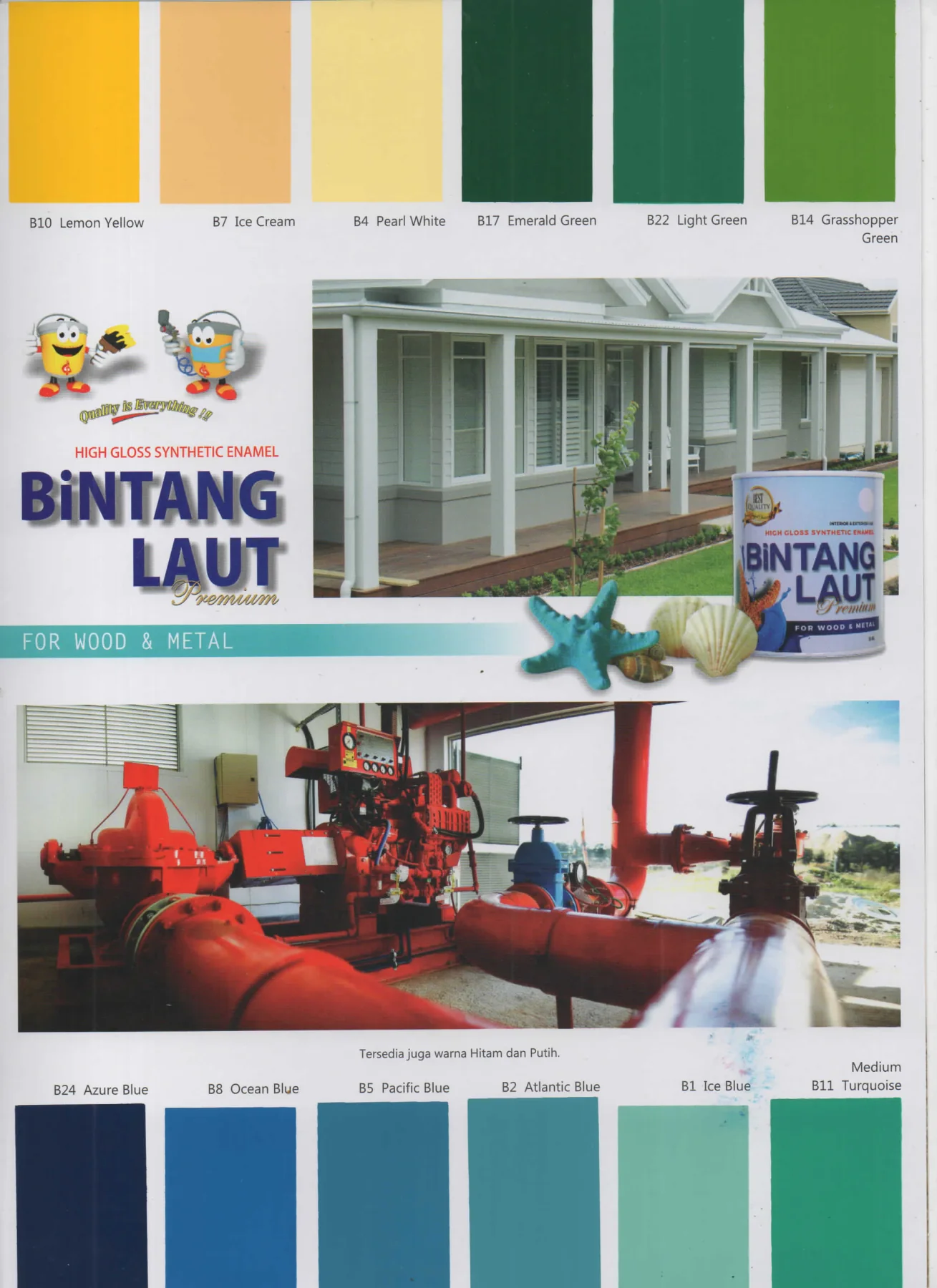 Bintang Laut Premium